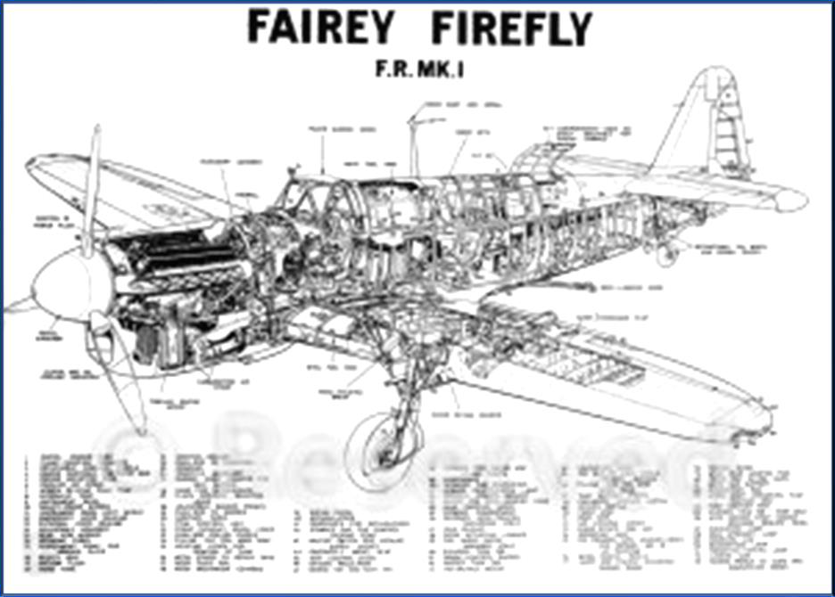 Fairey Firefly Mk.1 cutaway, by Roy Cross